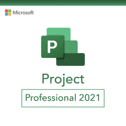 Microsoft Project 2021 Professional