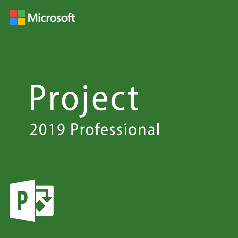 Microsoft Project 2019 Professional