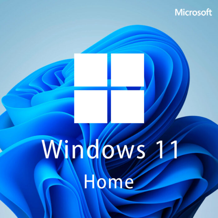 Microsoft Windows 11 Home