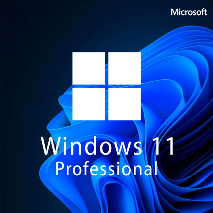 Microsoft Windows 11 Pro