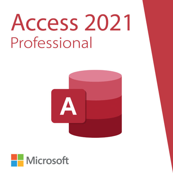 Microsoft Access 2021 Professional