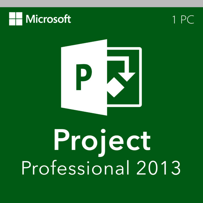 Microsoft Project 2013 Professional