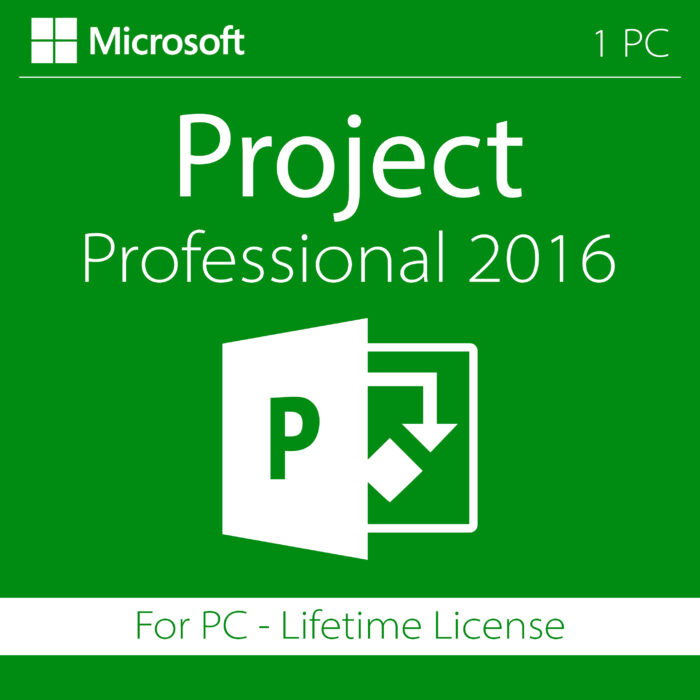 Microsoft Project 2021 Professional