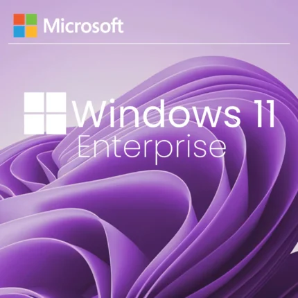 Microsoft Windows 11 Enterprise SOFTCOMP