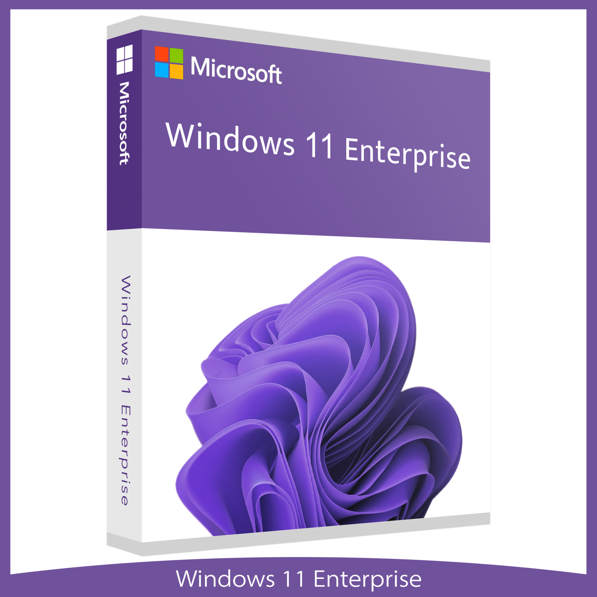 Microsoft Windows 11 Enterprise