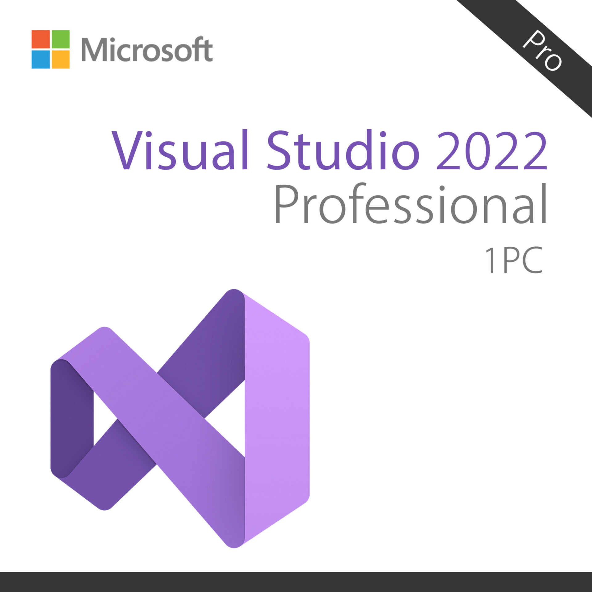 Microsoft Visual Studio Professional 2022