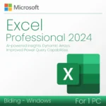 Microsoft Excel 2024 Professional