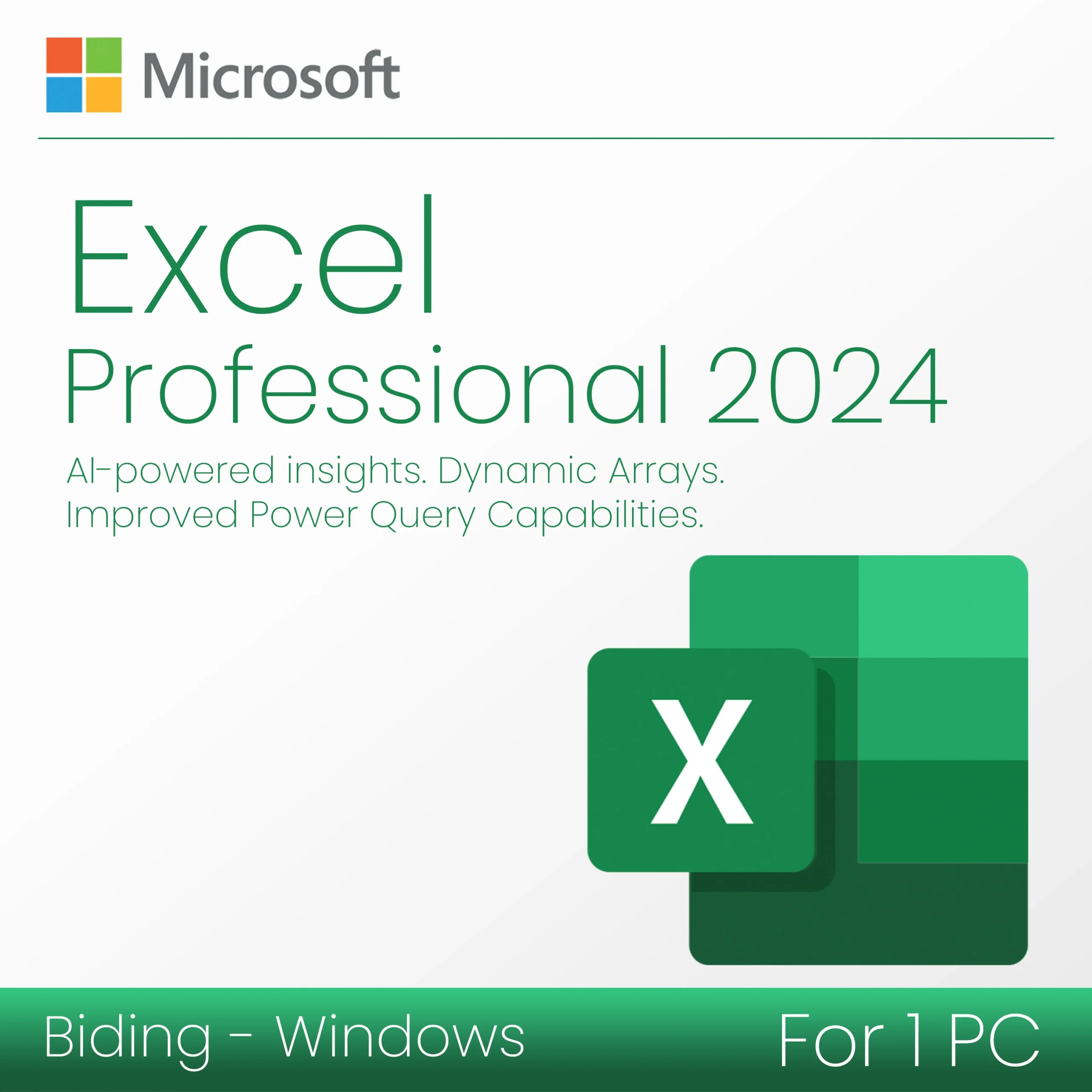 Microsoft Excel 2024 Professional