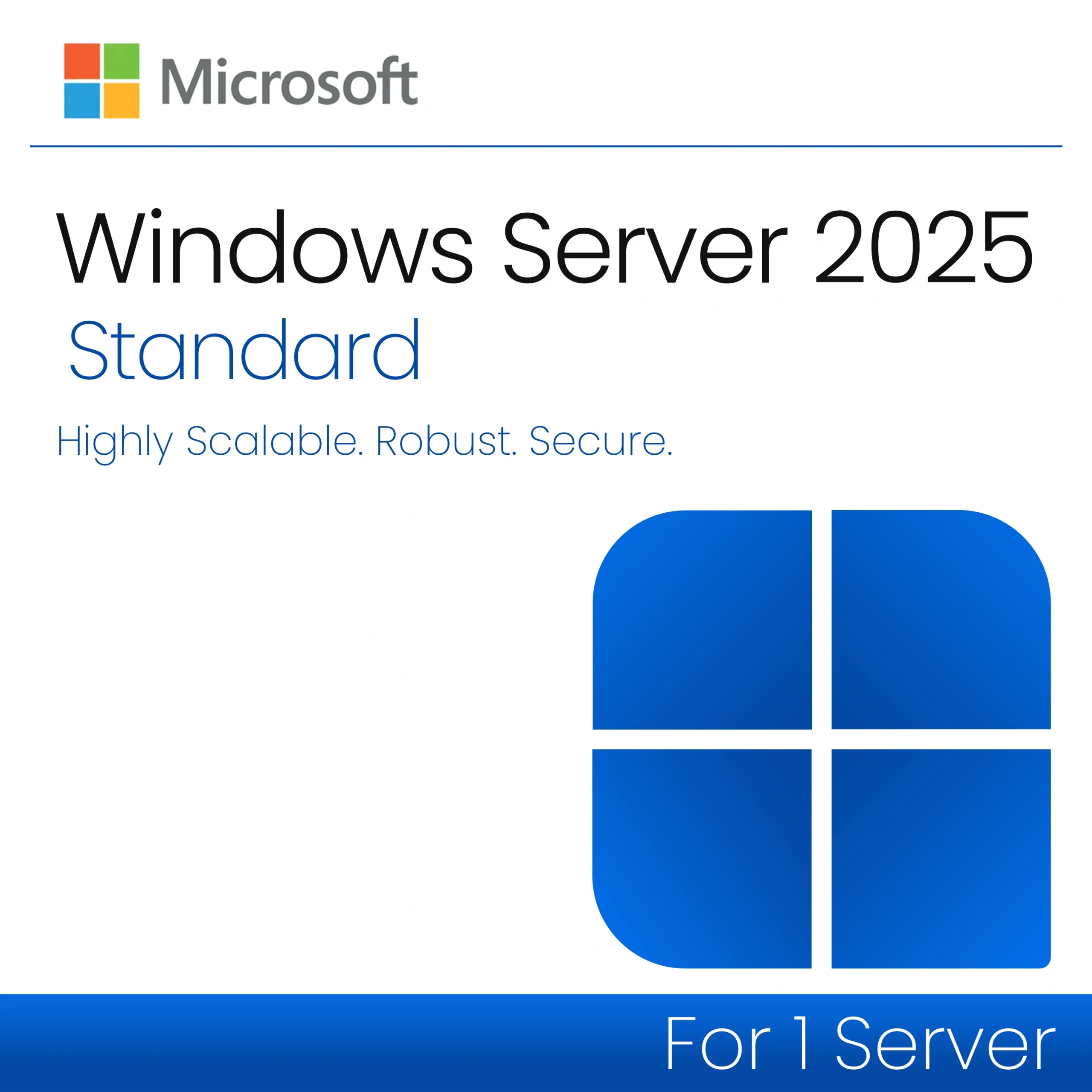 Microsoft Windows Server 2025 Standard