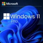 Microsoft Windows 11 Professional License
