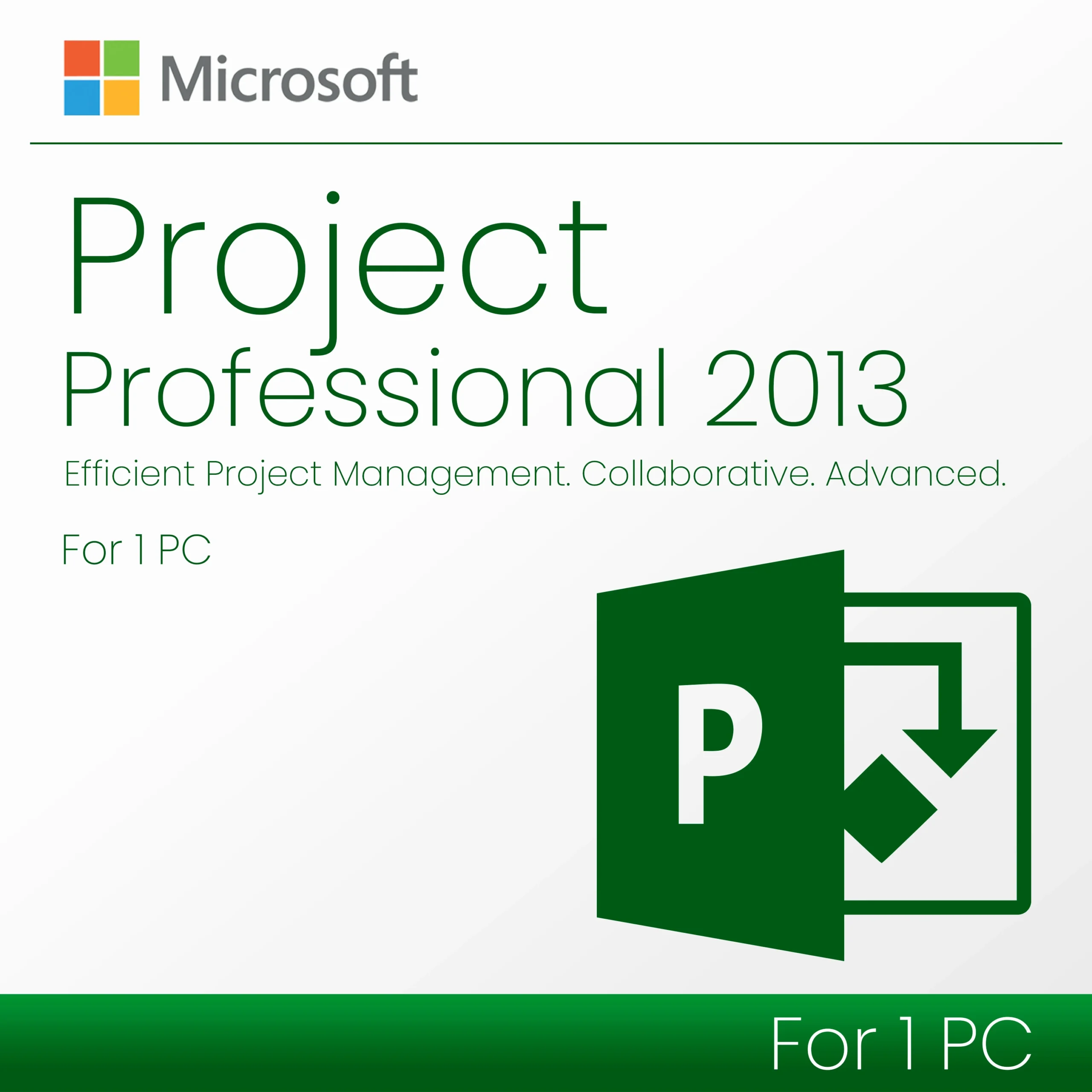 Microsoft Project 2013 Professional - Lifetime License
