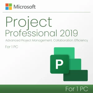 Microsoft Project 2019 Professional - Lifetime License