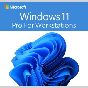 Microsoft Windows 11 Pro For Workstations - Lifetime License